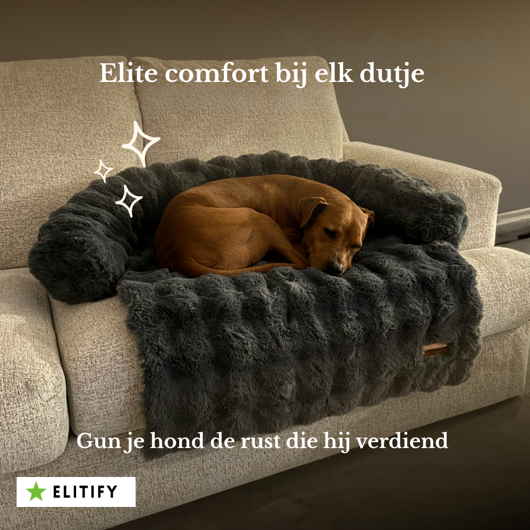 Elite comfort hondenbed - hondenbedje voor op de bank