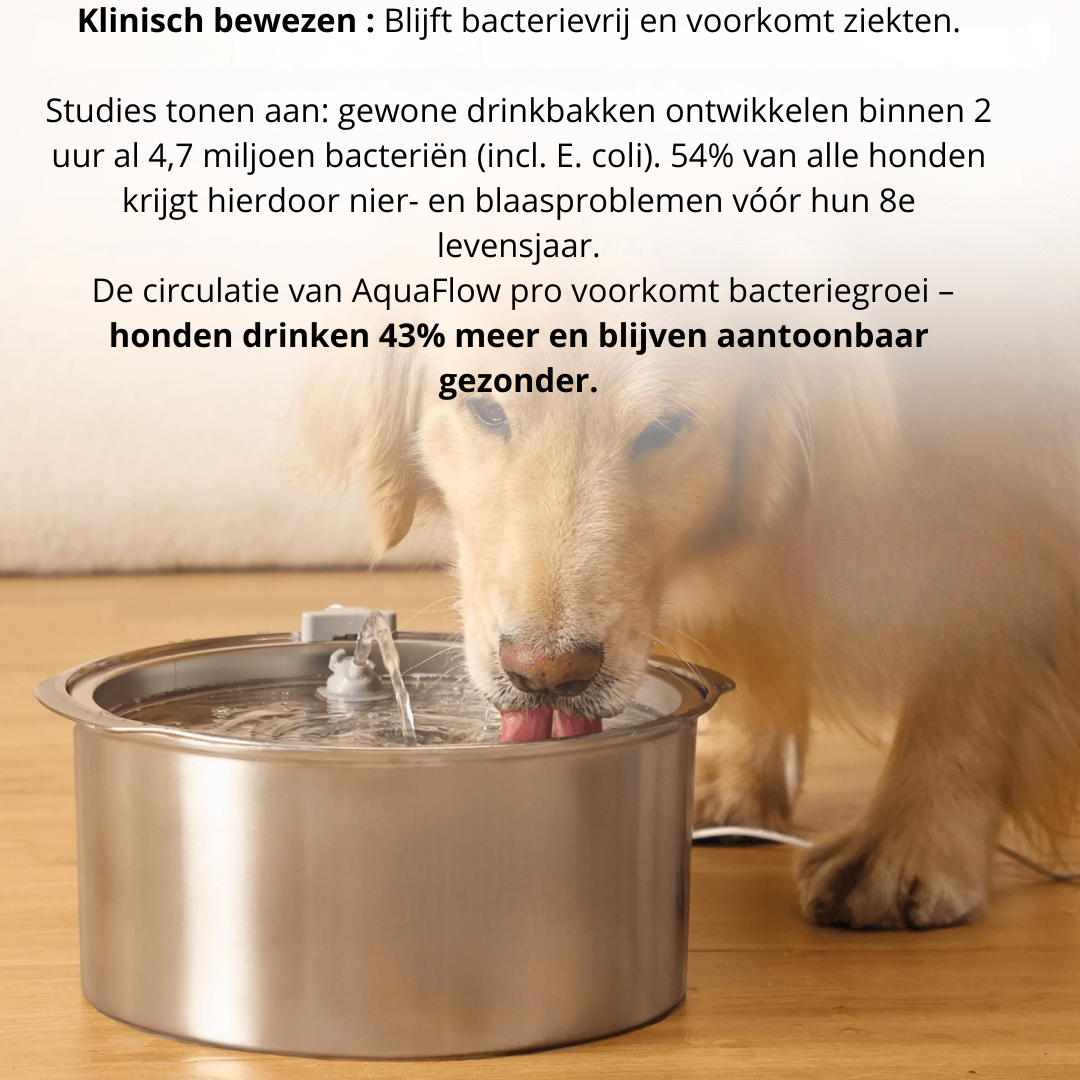 AquaFlow Pro – Hygiënische Drinkfontein met Zuiveringsfilter