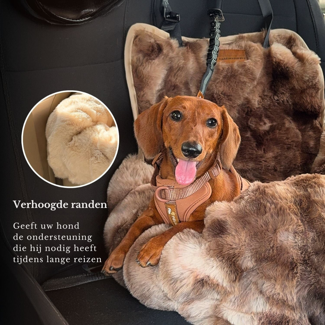 Elite autozitje - veiligheidszitje voor honden