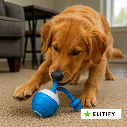 Elite funbuddy - interactief bewegend hondenspeeltje