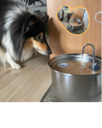 AquaFlow Pro – Hygiënische Drinkfontein met Zuiveringsfilter