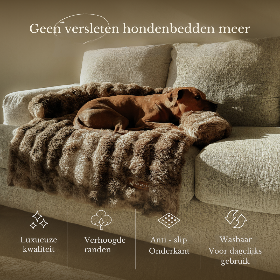 Elite comfort hondenbed - hondenbedje voor op de bank