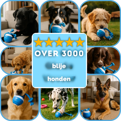 Elite funbuddy - interactief bewegend hondenspeeltje