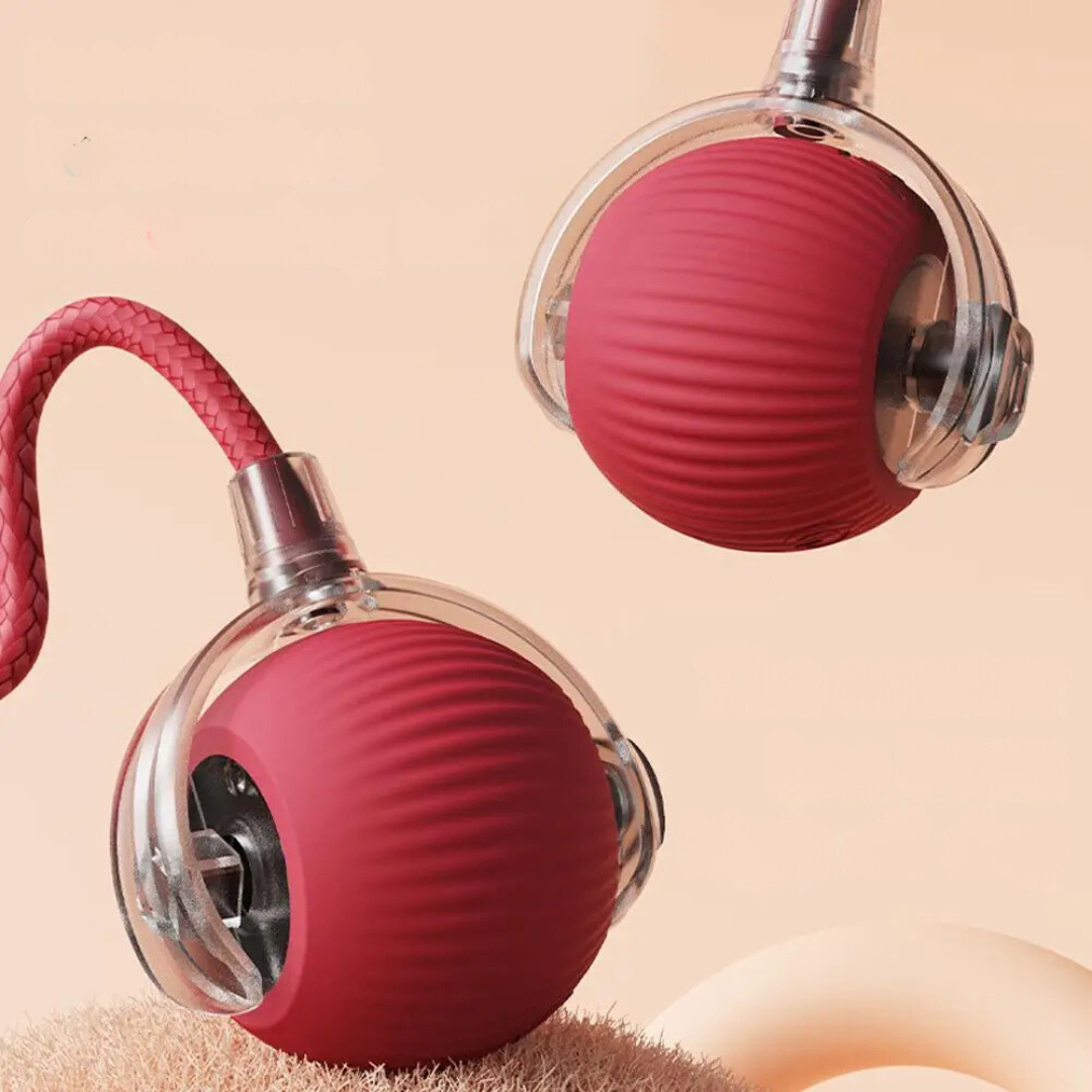 FunBuddy - Automatische Speelbal met Staart voor Katten