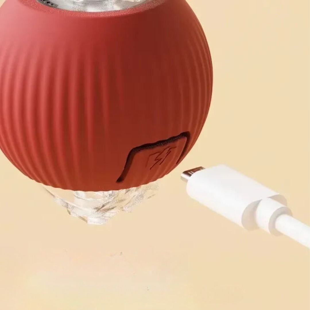 FunBuddy - Automatische Speelbal met Staart voor Katten